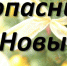МКУ «Управление по делам ГО и ЧС Городецкого района» информирует! - Городецкий район