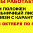 Больничный для граждан старше 65+ продлён с 26 октября по 8 ноября 2020 года - Городецкий район