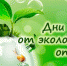 Дни защиты от экологической опасности - Городецкий район