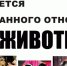 Важно - каждому! - Городецкий район