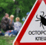 Берегитесь клещей! - Городецкий муниципальный округ