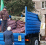 Нажмите для предварительного просмотра изображения - Газета Городецкий вестник